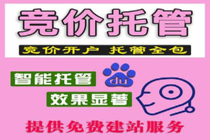 高返点充值攻略：案例分析及实战技巧